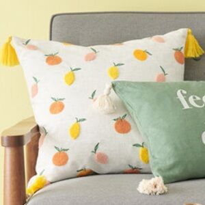 Sonoma Fruit Embroidered Throw Pillow Cover